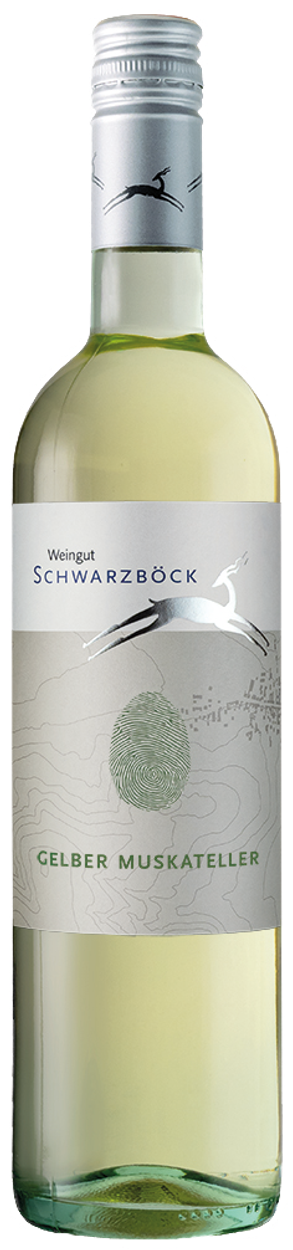 Gelber Muskateller bio 2024 von SCHWARZBÖCK aus Österreich