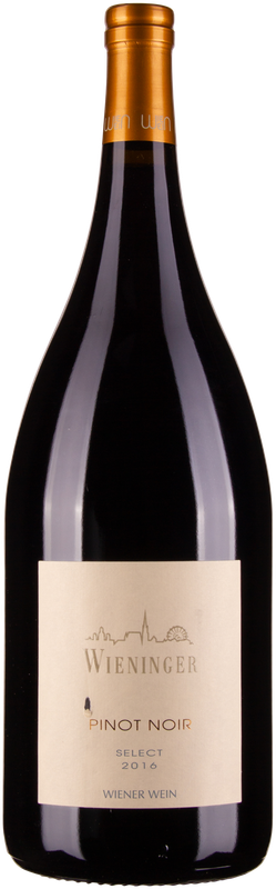 Pinot Noir Select 2017 von Wieninger