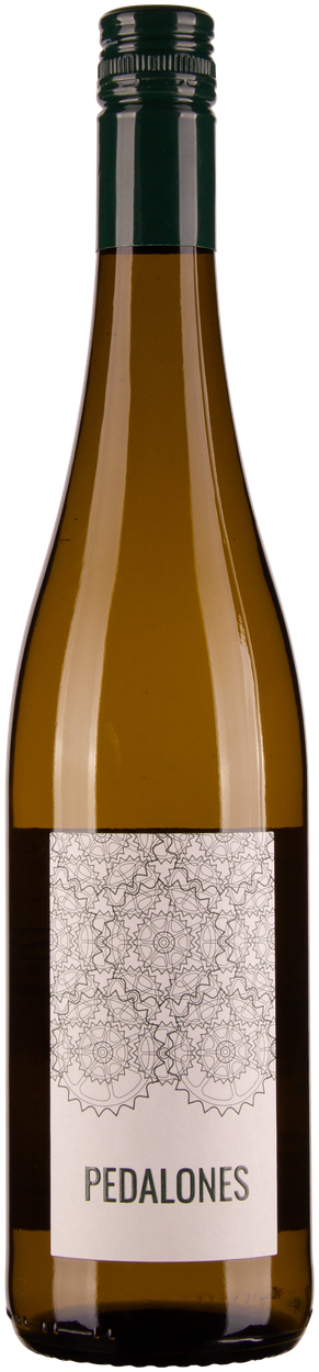Sauvignon Blanc Nußberg Ried Obere Schos 2024 von PEDALONES aus Österreich