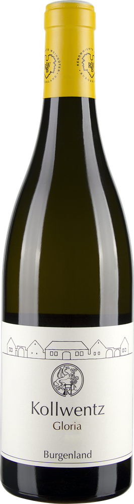 Wein aus Österreich Rarität Chardonnay Gloria 2019 Glasflasche