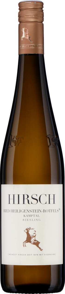 Ried Heiligenstein-Rotfels 1ÖTW Kamptal DAC bio 2023 von HIRSCH aus Österreich