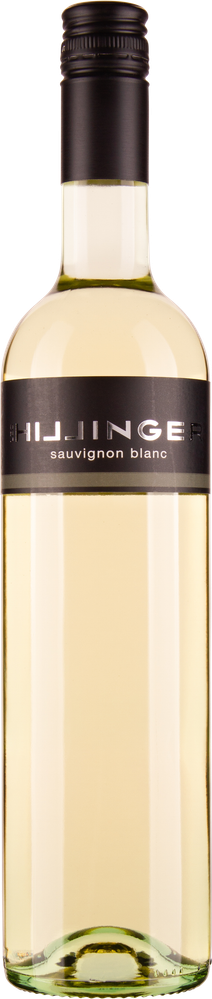 Wein aus Österreich Sauvignon Blanc bio 2023