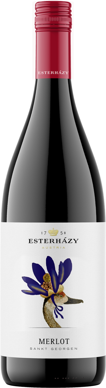 Merlot 2021 von ESTERHÁZY aus Österreich