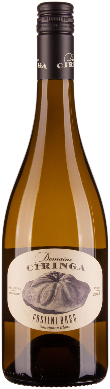 Sauvignon Blanc Fosilni Breg bio 2022 von CIRINGA aus Slowenien