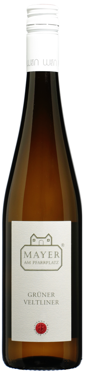 Grüner Veltliner Motto Ballwein 2025 von MAYER AM PFARRPLATZ aus Österreich