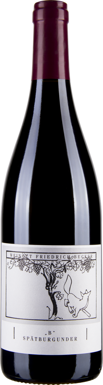 Spätburgunder B 2015 von FRIEDRICH BECKER aus Deutschland