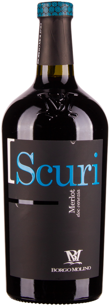 Wein aus Italien Merlot DOC 2022 Glasflasche