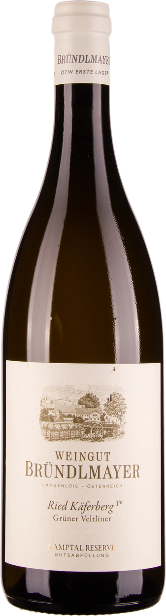 Grüner Veltliner Ried Käferberg 1ÖTW Kamptal DAC bio 2022 von BRÜNDLMAYER aus Österreich