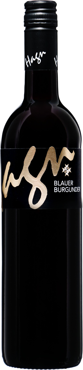 Blauburgunder 2023 von HAGN aus Österreich