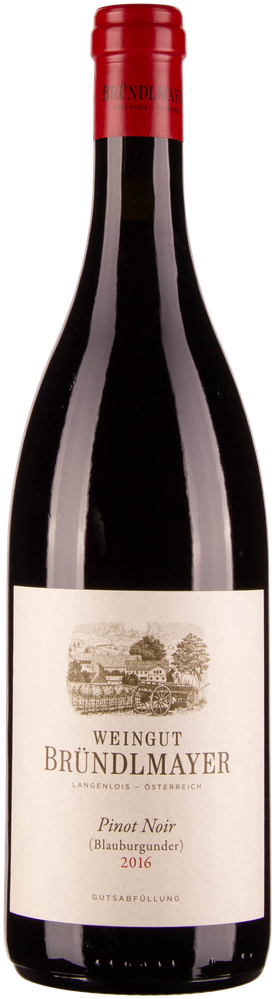 WÖsterreich Pinot Noir 2020 BRÜNDLMAYER