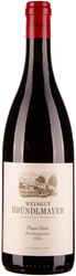 WÖsterreich Pinot Noir 2020 BRÜNDLMAYER